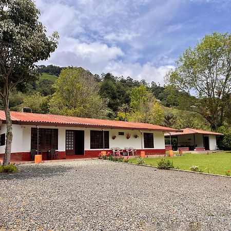 Paraiso Cocora Σαλέντο Εξωτερικό φωτογραφία