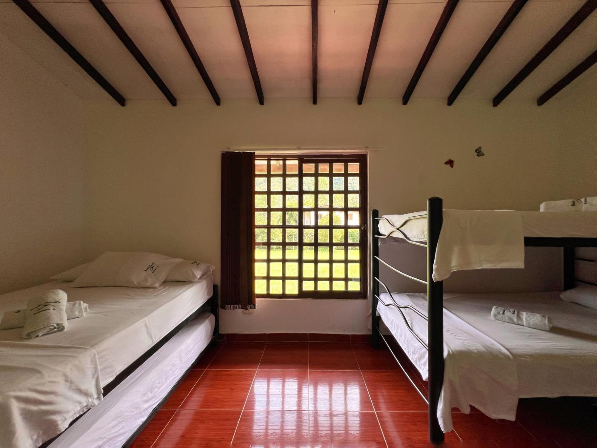 Paraiso Cocora Σαλέντο Εξωτερικό φωτογραφία