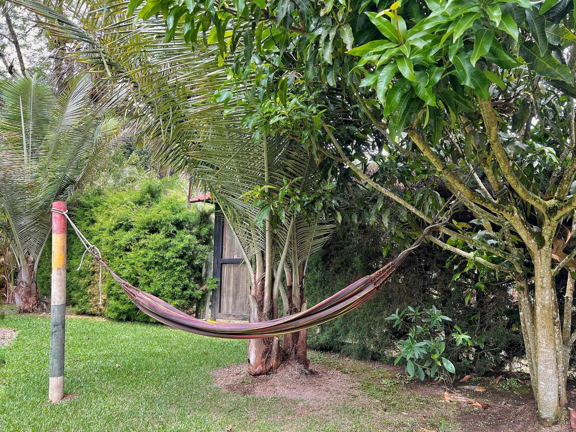 Paraiso Cocora Σαλέντο Εξωτερικό φωτογραφία