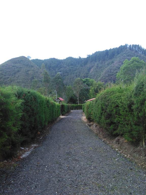 Paraiso Cocora Σαλέντο Εξωτερικό φωτογραφία